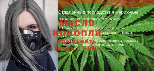 индика Заволжск