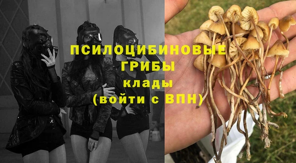 амф Абдулино