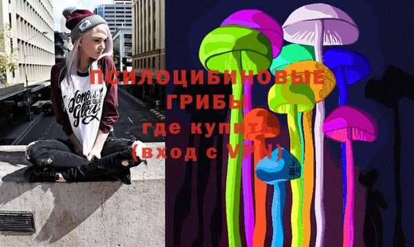 бошки Абинск