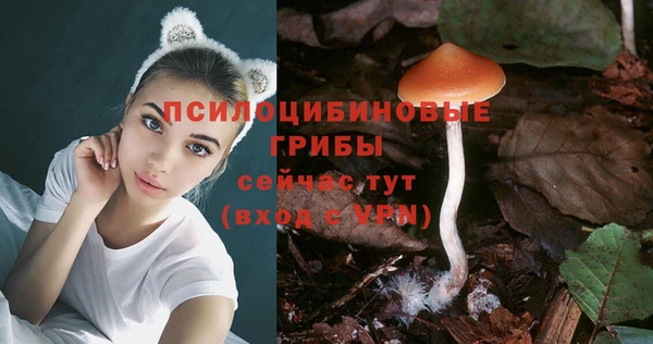 амф Абдулино